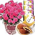 花のギフト社 母の日 花とスイーツ 花 鉢植え カーネーション 花鉢 プレゼント お菓子 スイーツ