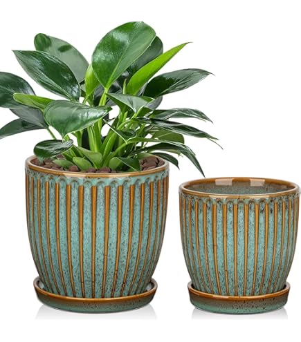 G-DRAGON Übermensch 展示会 ペンライト 植木鉢 セット Amazon.co.jp: G-DRAGON Übermensch 展示会 ペンライト 植木鉢