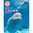 かまってシロイルカ (しってる? 水族館のにんきもの)