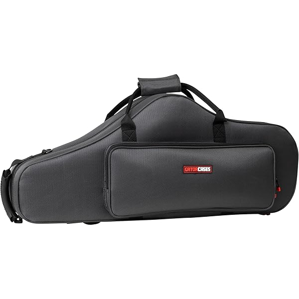 Amazon.co.jp: PLAYTECH (プレイテック) テナーサックス用セミハード