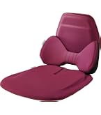 Amazon | EXGEL(エクスジェル) 自動車用クッション ハグドライブセット