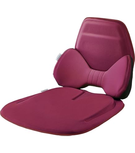 Amazon | EXGEL(エクスジェル) 自動車用クッション ハグドライブセット