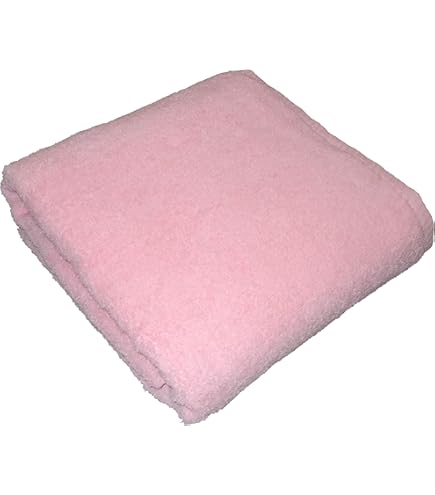 Amazon.co.jp: 閃乱カグラ PEACH BEACH SPLASH 雪泉＆四季 特大バス