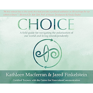 Choice: A field guide for navigating the polarization of our…
