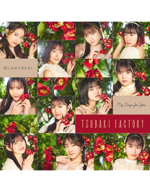 つばきファクトリー DVD まとめ売り つばきファクトリー DVD小野田紗栞・豫風瑠乃 MAGAZINE Vol.34