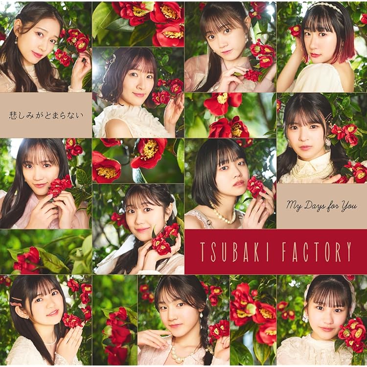 Amazon.co.jp: つばきファクトリー : 【Amazon.co.jp限定】ベイビー