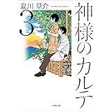 神様のカルテ３ (小学館文庫)