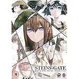 STEINS;GATE コンプリート DVD-BOX (全25話, 625分) シュタインズゲート シュタゲ アニメ [DVD] [Import] [PAL, 再生環境をご確認ください]