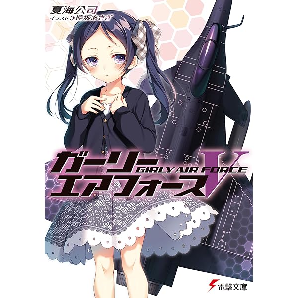 Amazon.co.jp: ガーリー・エアフォース (電撃文庫) : 夏海 公司