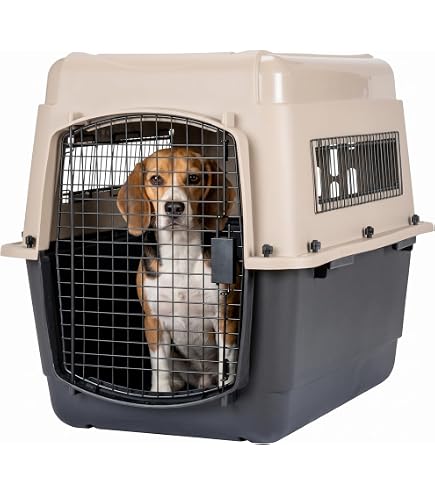 Amazon | ペットメイト バリケンネル ペット用 ML グレー | Petmate