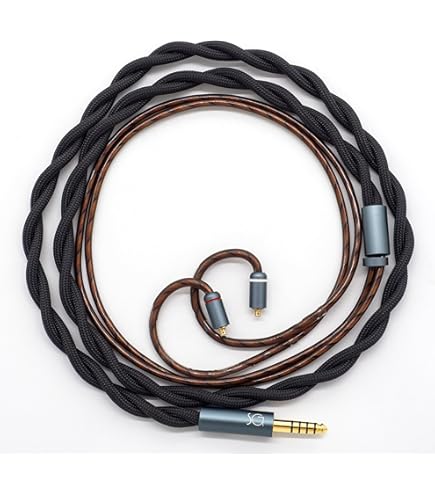 Amazon | JVC リケーブル バランス接続対応 CN-HS01MB | JVC