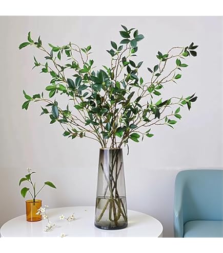 Amazon｜アセビ 枝もの 枝 3本セット 馬酔木 インテリア グリーン 生花