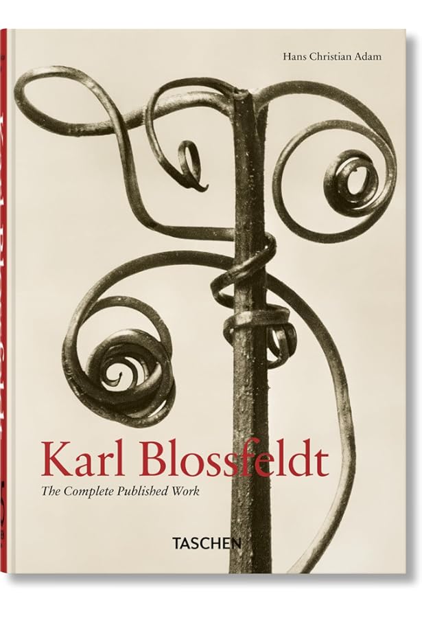 Amazon | Karl Blossfeldt: The Working Collages | Wilde, Ann, Wilde