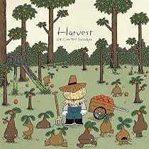 Amazon.co.jp: Harvest [アナログ] - 04 Limited Sazabys [Analog