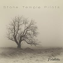 Amazon.co.jp: Perdida -Digi-: ミュージック