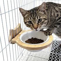 Amazon | 天然木製 陶器 猫型 フードボウル 餌皿 お皿 ケージ取り付け
