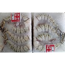 Amazon | カネク 生わさび 505 1本（ 750g ） 業務用 冷蔵