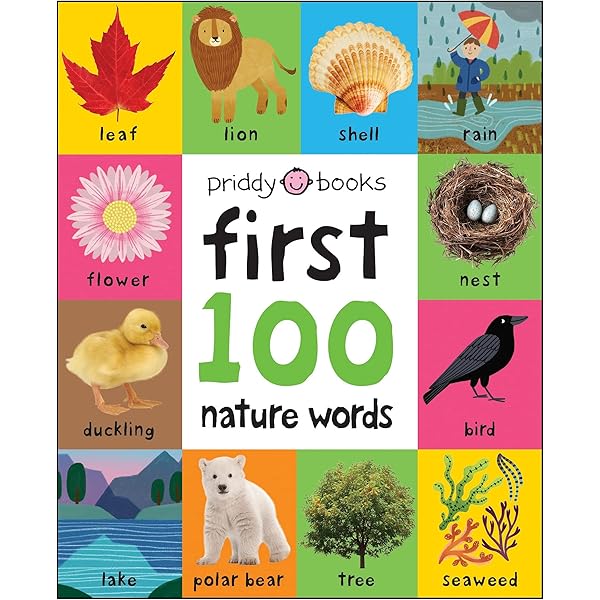 Amazon.co.jp: First 100 Box Set : 本