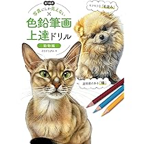 リアルな色鉛筆画 A4 超絶リアルな色鉛筆画のテクニック: まるで本物みたいな絵が