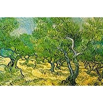 Amazon.co.jp: ヴィンセント・ヴァン・ゴッホ オリーブ果樹園