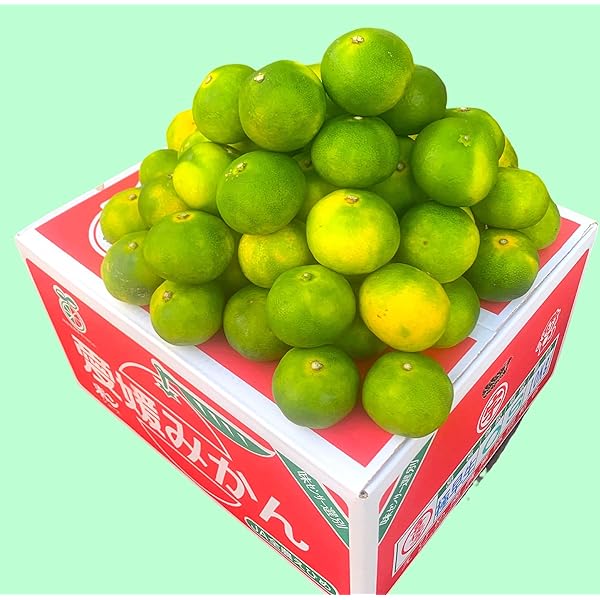 Amazon.co.jp: みかん 〇南 ハウスみかん 匠の味 16～21玉 1.3kg