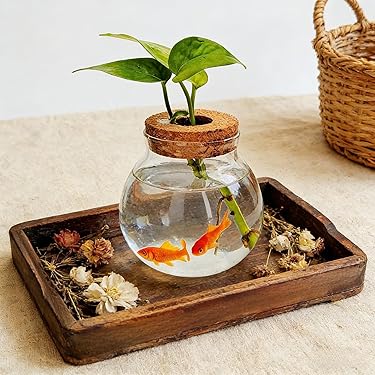 Amazon.co.jp 最新リリース: 水槽 の新着ランキングです。