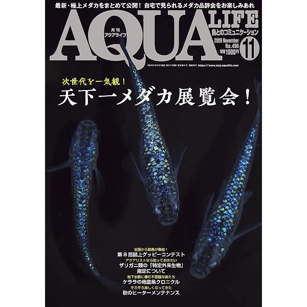 月刊アクアライフ 2023年 05 月号 メダカ・フロンティア 【特別付録