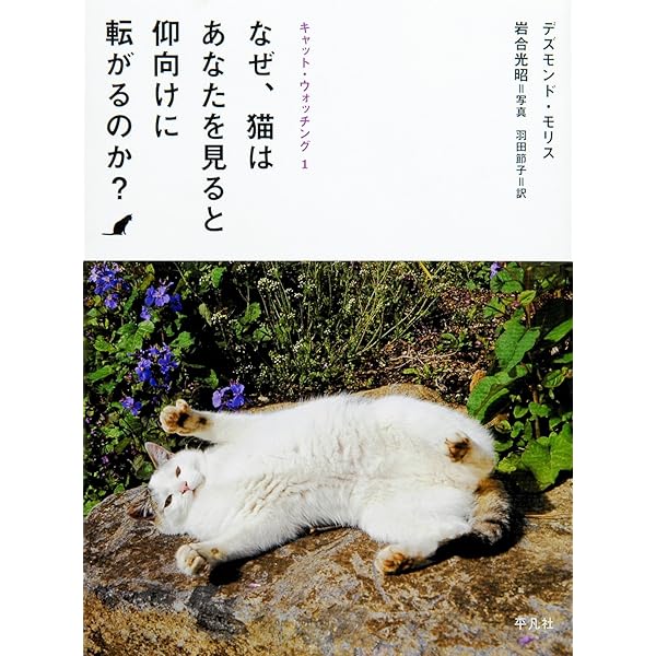 Amazon.co.jp: キャット・ウォッチング 2 猫に超能力はあるか