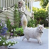 ねこの一日