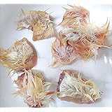 カットヒヨコM 10袋入り