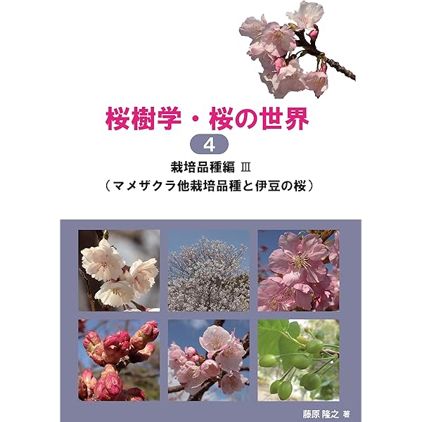 さくら大観 | 佐野 藤右衛門 |本 | 通販 | Amazon