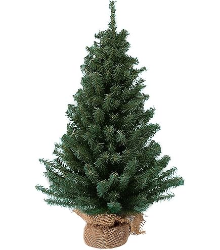 LADRO LLADRÓ Christmas Tree 01006261 : Amazon.sg: Home