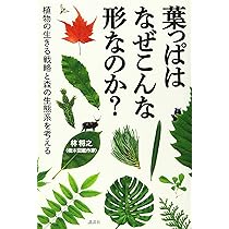 葉っぱ 81KhuGegKrL._AC_UL210_SR210,