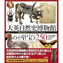 Amazon.co.jp: NHKスペシャル 知られざる大英博物館 DVDBOX : DVD