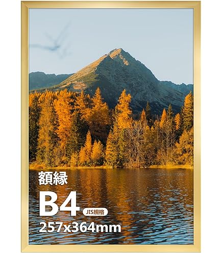 Amazon.co.jp: B4(364×257mm)サイズとA4(297×210mm)サイズ両方収納