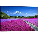 富士山 絵画 桜 アートパネル 山 白雲 山の絵 玄関 風水 開運 アート ポスター 風景画 装飾画 壁掛け 木枠付きの完成品 (40x60cm)