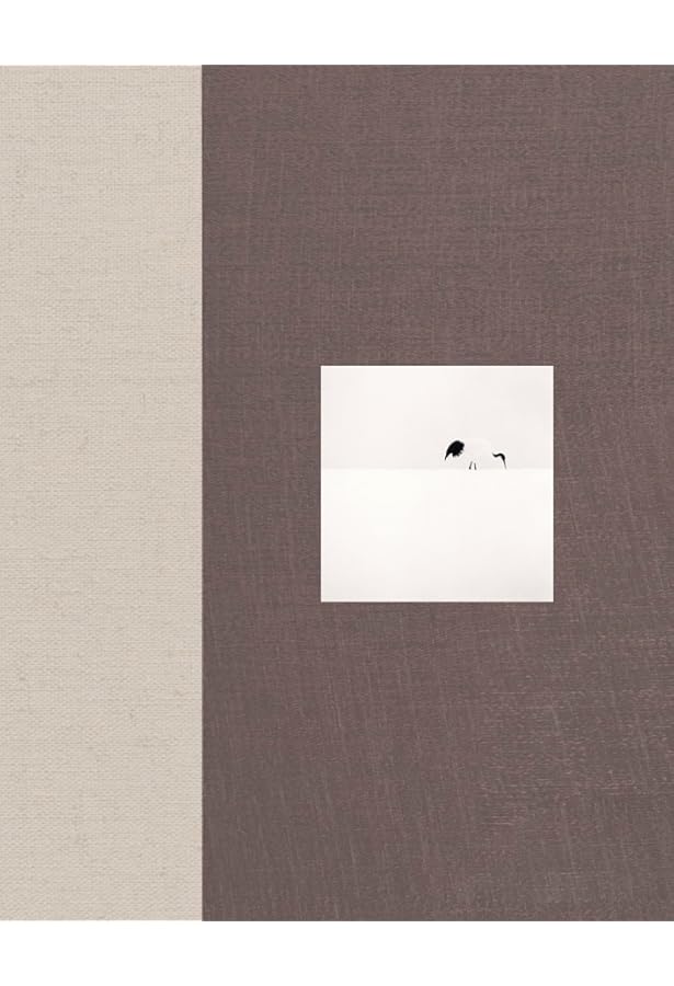 マイケル・ケンナ写真集 (Ambient Foto 2) | マイケル ケンナ |本