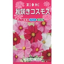 Amazon | 秋咲きコスモス | センセーション混合, 秋桜, 落ち着いた色調