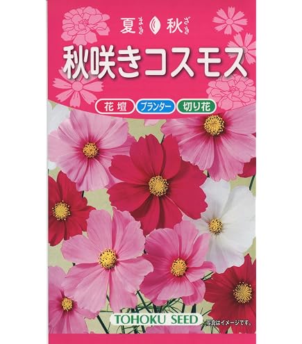 Amazon | 株式会社トーホク 早咲きコスモス(混合) | 花