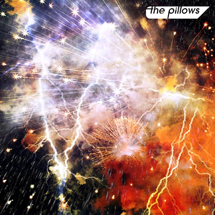 Amazon.co.jp: Another morning Another pillows - the pillows