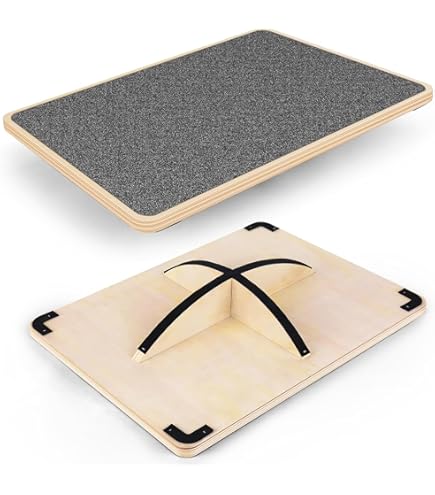 Amazon | 東急スポーツオアシス スクワットシェイプ 椅子