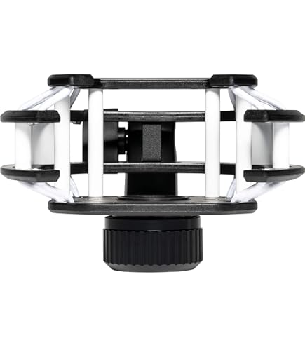 Amazon | Lewitt LCT-240-PROコンパクトコンデンサーマイク、ホワイト