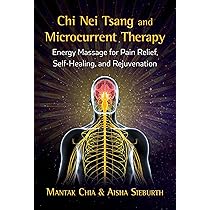 Chi Nei Tsang: Chi Massage for the Vital Organs : Chia, Mantak