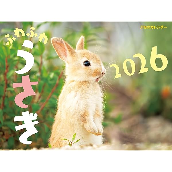 Amazon.co.jp: うさぎと暮らすCALENDAR2026 ([カレンダー]) : 文房具
