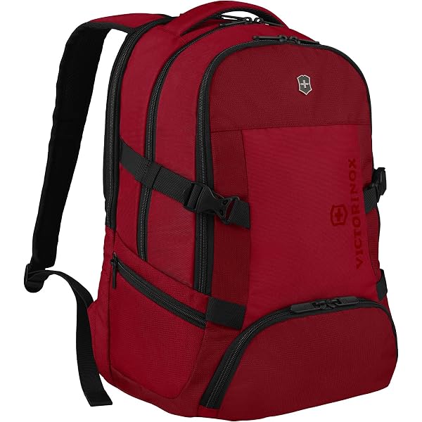 Amazon.co.jp: [ビクトリノックス] Altmont Professional アルトモント 