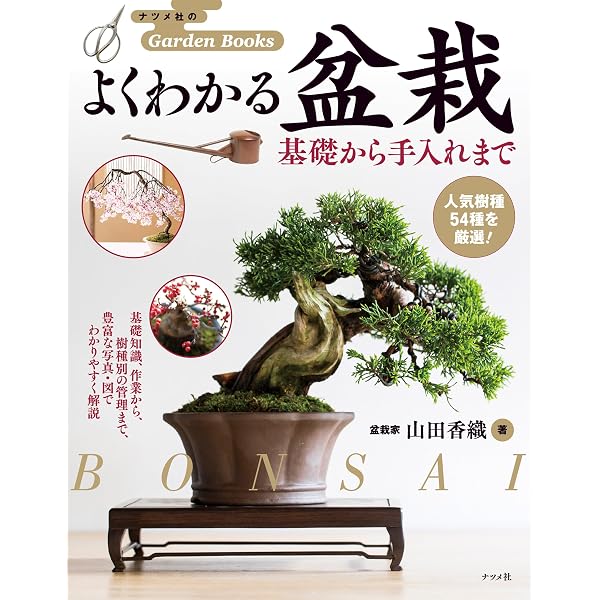 Amazon.co.jp: 盆栽名品集 第1巻 最高賞の名木たち（一）: 名品鑑賞で