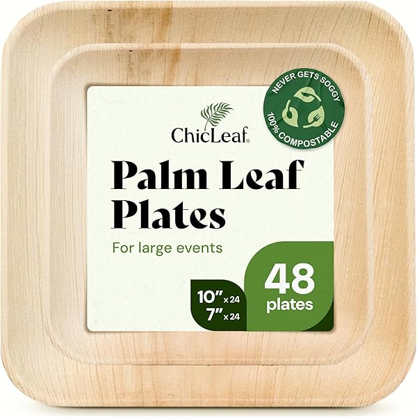 Verterra Palm Leaf Plates 4-Inch - Eco-Friendly Disposable Tasting Plates 25 Pack