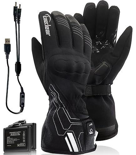 Amazon | HeatMaster (ヒートマスター) 12V ヒートレザー