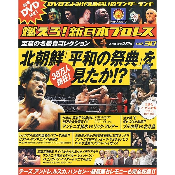 【レア有】燃えろ新日本プロレス19本セット 91mE1Vn2urL._AC_UF350,
