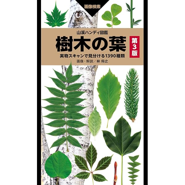 Amazon.co.jp: 山溪ハンディ図鑑 新 樹に咲く花1 eBook : 茂木 透